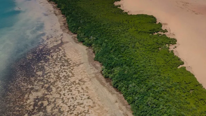 nouveau cadre emissions odd afd